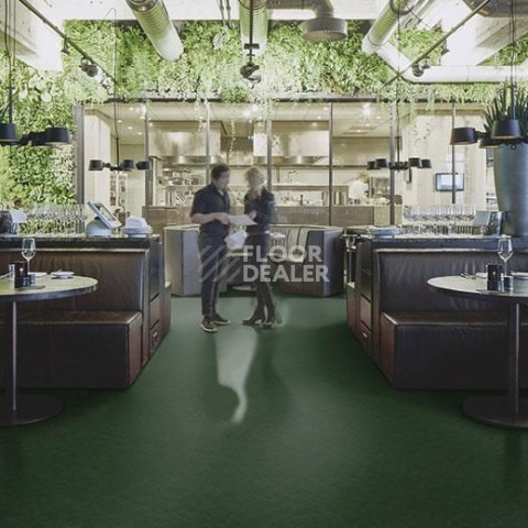 Forbo Marmoleum Decibel on Order 335935 bottle green фото 2 | FLOORDEALER